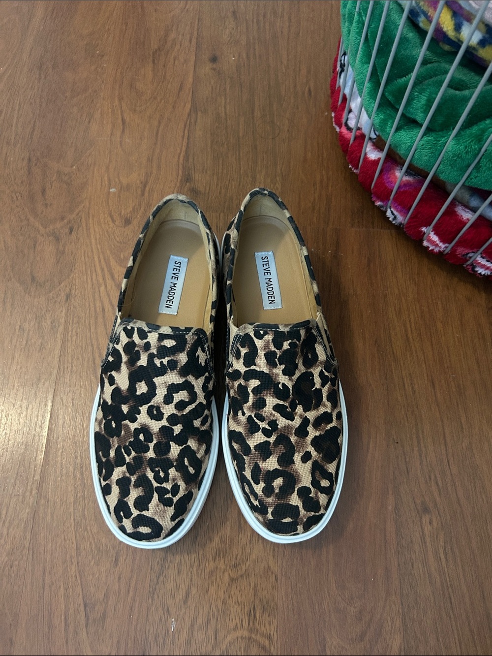 Steve Madden Leopard Slip-On Sneakers in Black and Tan